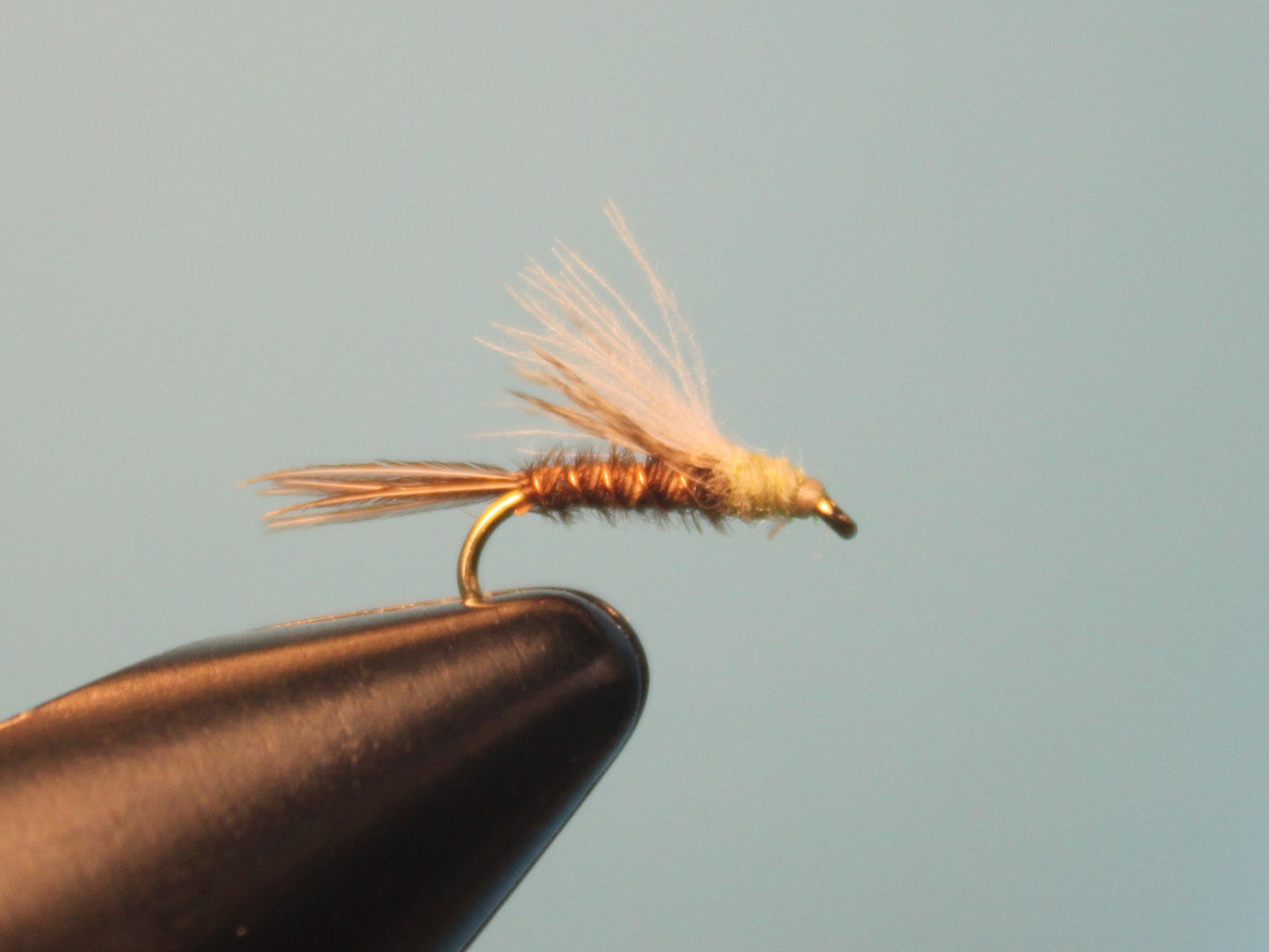 Baetis Emerger